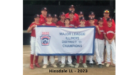 Little League Division 2023 District Champion - Hinsdale